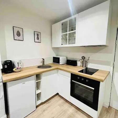 公寓 Les Orchidees 鲁昂